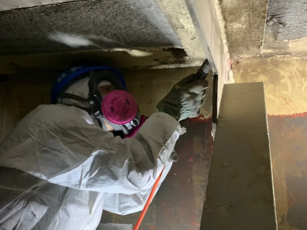 東名高速　久能高架橋